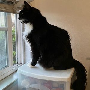 Meet your Posher, Cynthia